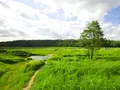 Место где будет построен ЖК «Марусино Forest». Фото от 08.06.2016 г.