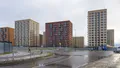 Фотосъемка (17.01.2025 г.)