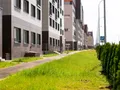 Территория рядом с домами облагорожена, выполнены работы по озеленению. Фото от 26.07.2017 г.