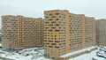Общий вид. Фото от 5.02.2022 г.