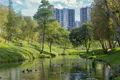 Микрорайон «Центральный».
Парк природный.