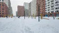 Фотосъемка от 16.01.2026 г.