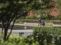 Благоустройство территории