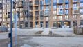Вид двора. Фото от 26.03.2026
