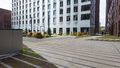 Двор новостройки. Фото от 19.06.2026 г.