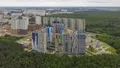 Общий вид. Аэрофотосъемка. Фото от 21.05.2019 г.