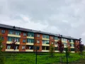 Озеленение территории. Фото октябрь 2017 г.