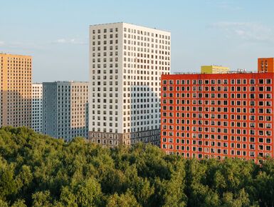 Измайловский лес