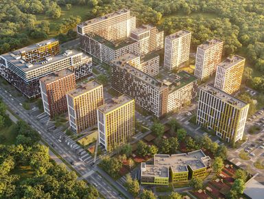 Левел Лесной