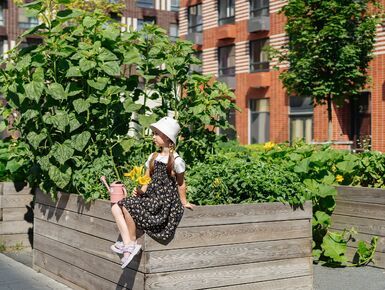 Никольские луга