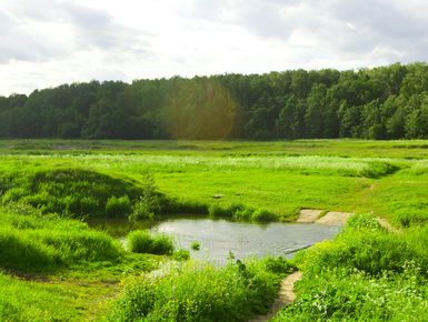ЖК «Марусино Forest» («Марусино Форест»)