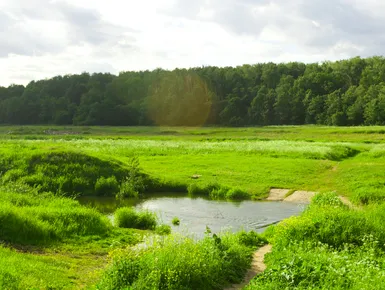 ЖК «Марусино Forest» («Марусино Форест»)