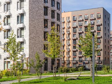 Середневский лес