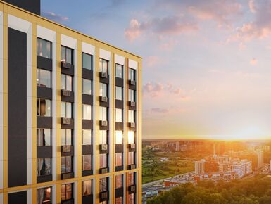 Левел Лесной