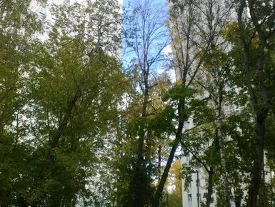 ЖК «Бабушкинский Парк»