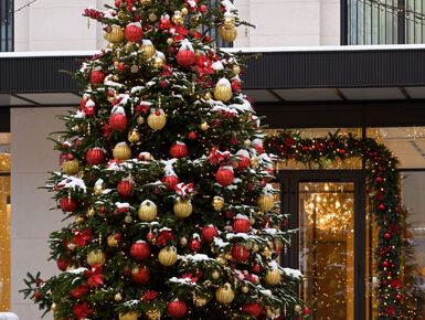 Клубный дом TURGENEV (Тургенев)