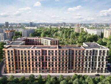 Clementine (Клементин)