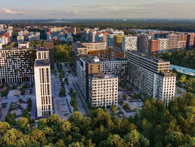 Левел Лесной