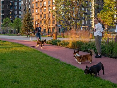 Холланд парк|Новострой-М