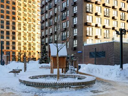 Первый Дубровский|Новострой-М