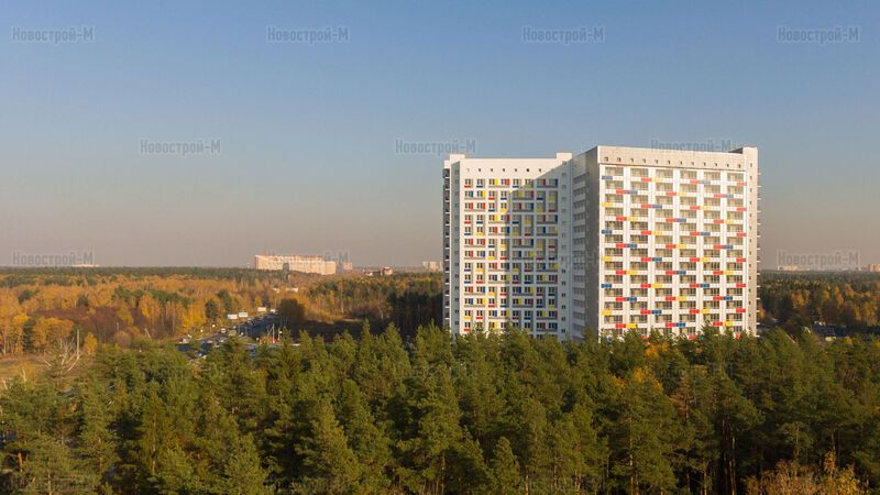 Щитниково Изумрудный