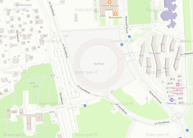 Архитектурный проект «Бублик»