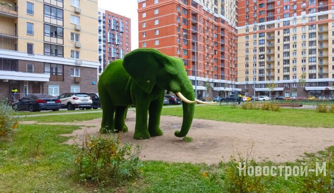 Своими глазами: плюсы и минусы новостроек в ЖК «Томилино Парк»