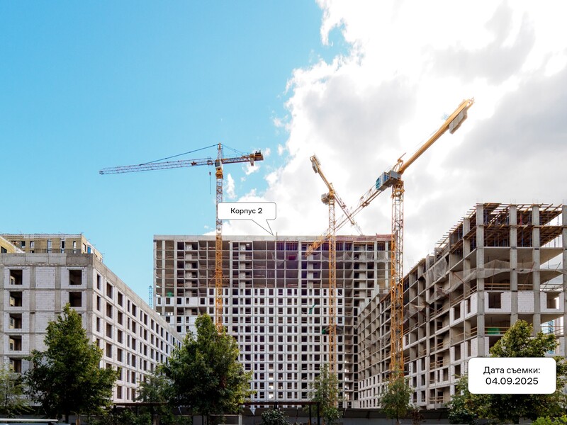 Сентябрь 2025