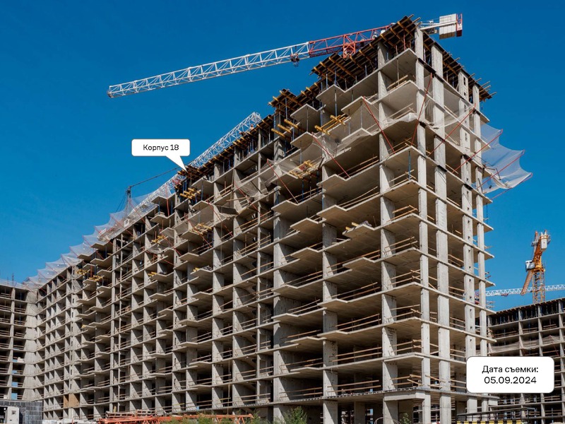 Сентябрь 2024