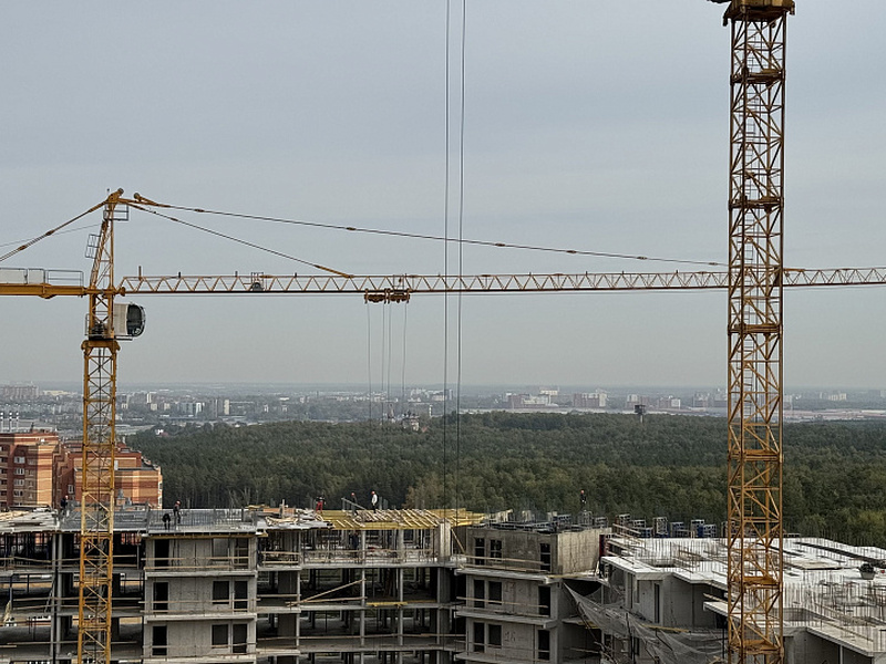 Сентябрь 2025