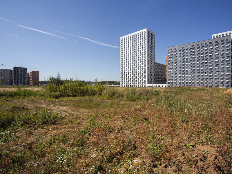 Сентябрь 2025