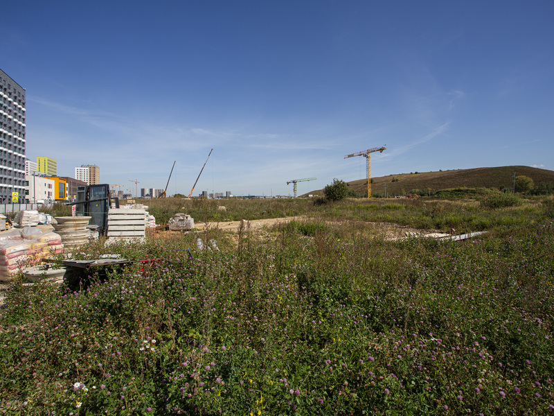 Сентябрь 2025