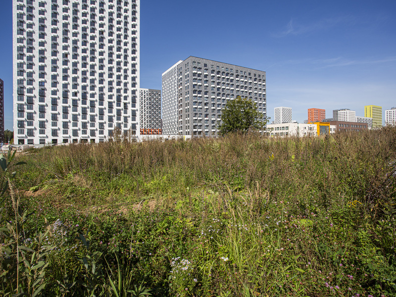 Сентябрь 2025