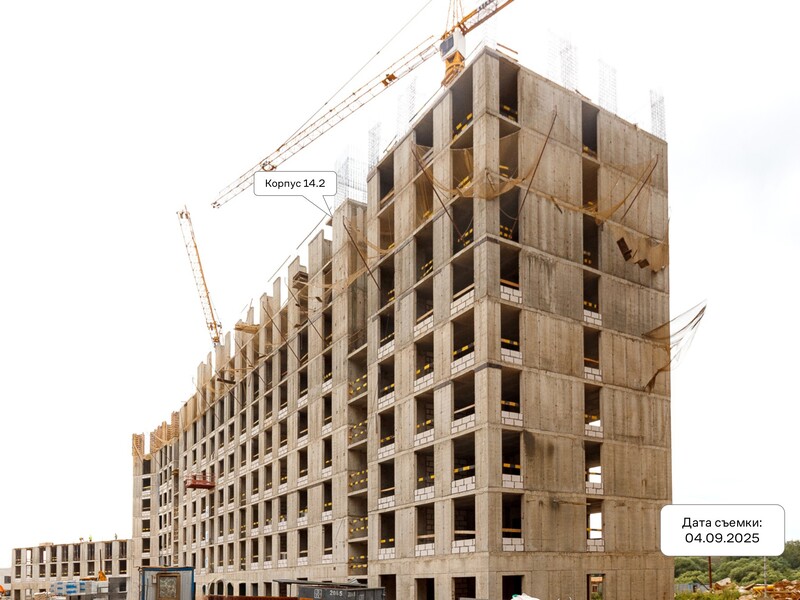 Сентябрь 2025