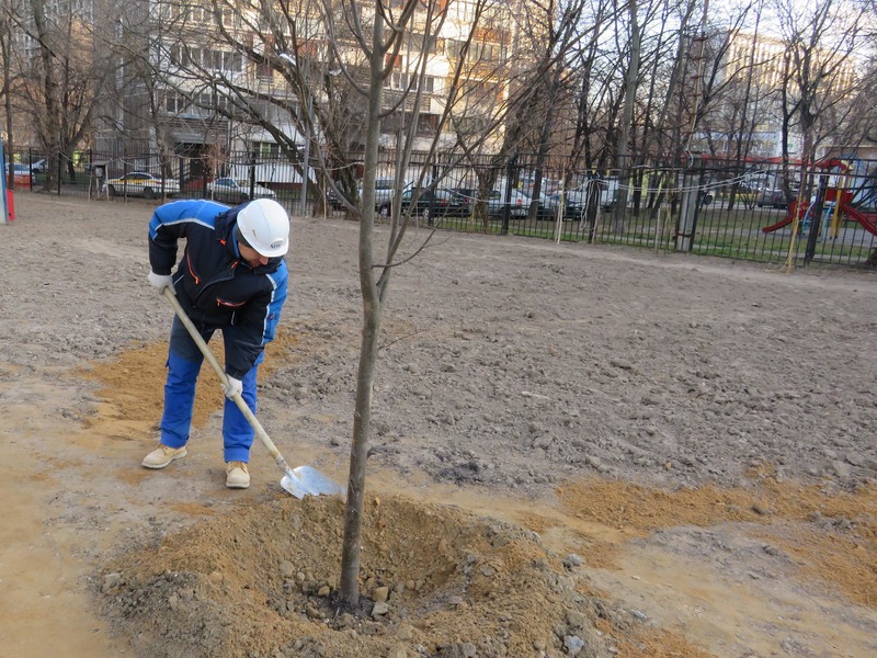  Завершена опрессовка и пуско-наладочные работы системы отопления комплекса. Тепло запущено по полному контуру. Продолжается комплексное озеленение придомовой территории комплекса. Завезен плодородный грунт. Посажено 29 деревьев: Липа, Береза, Клен, ...