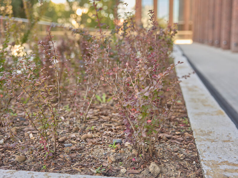 Сентябрь 2025