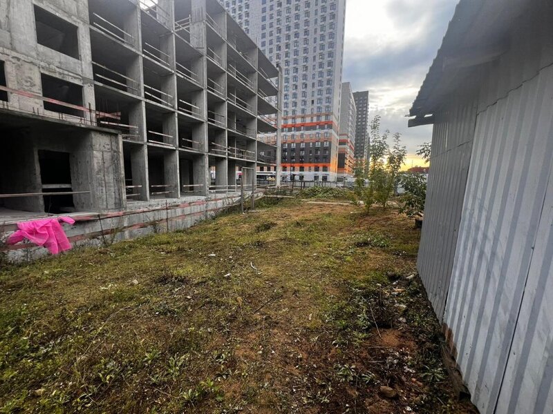 Сентябрь 2025