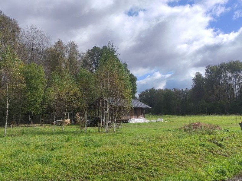 Сентябрь 2025