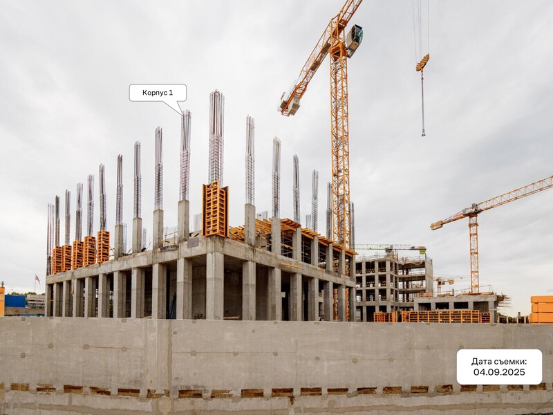 Сентябрь 2025