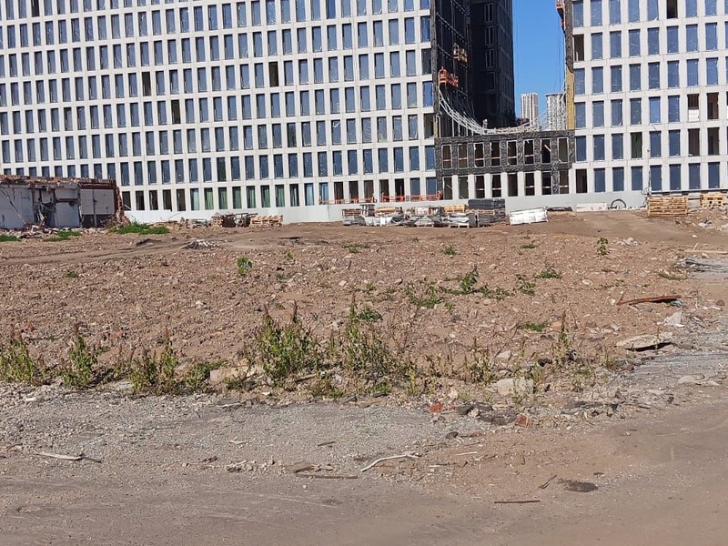 Сентябрь 2025