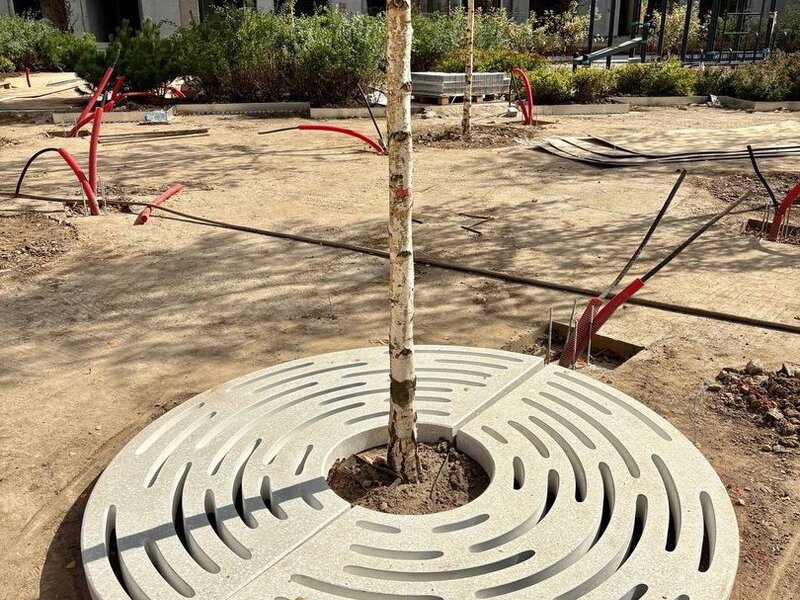 Сентябрь 2025