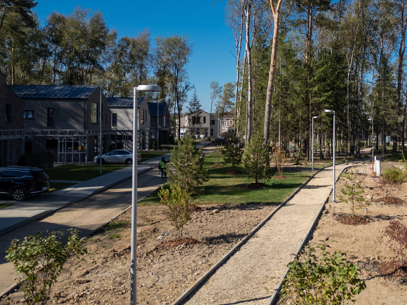 Сентябрь 2025