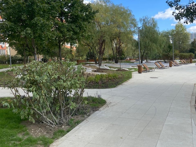 Сентябрь 2025