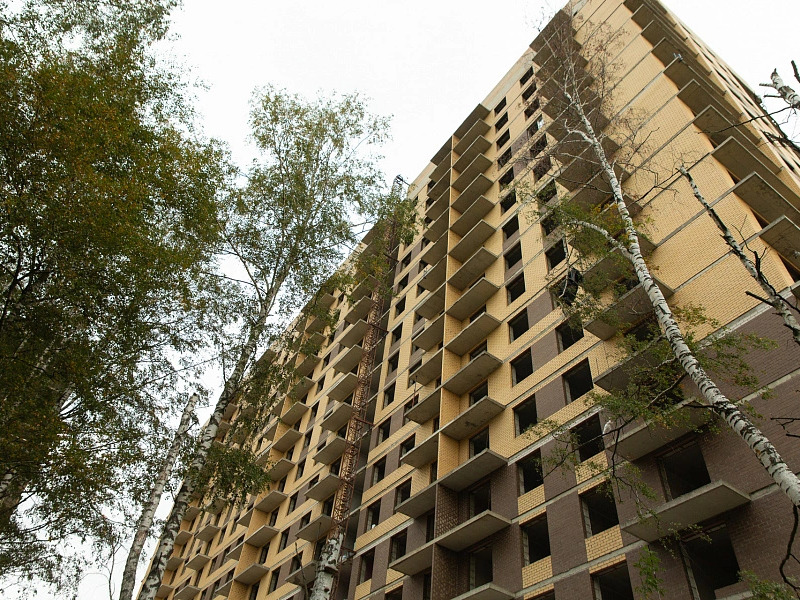 Сентябрь 2025