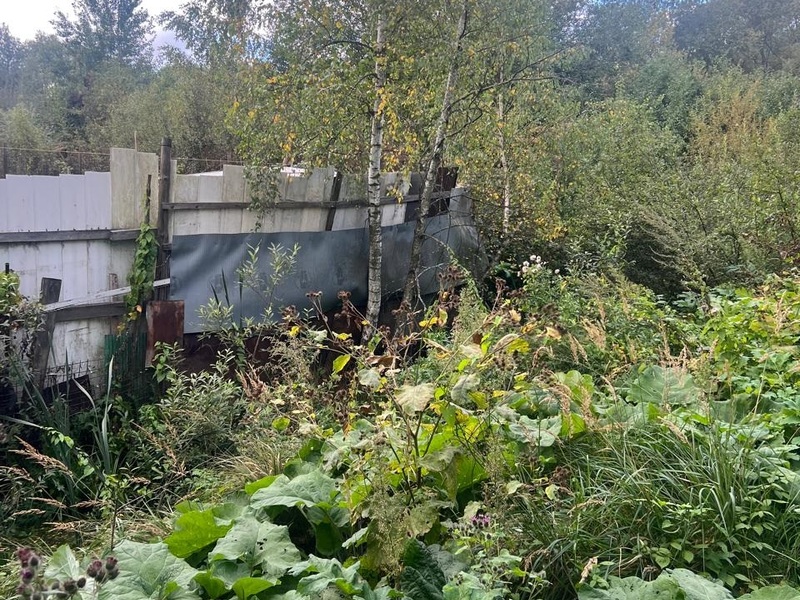 Сентябрь 2025