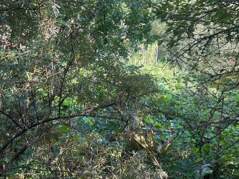 Сентябрь 2025