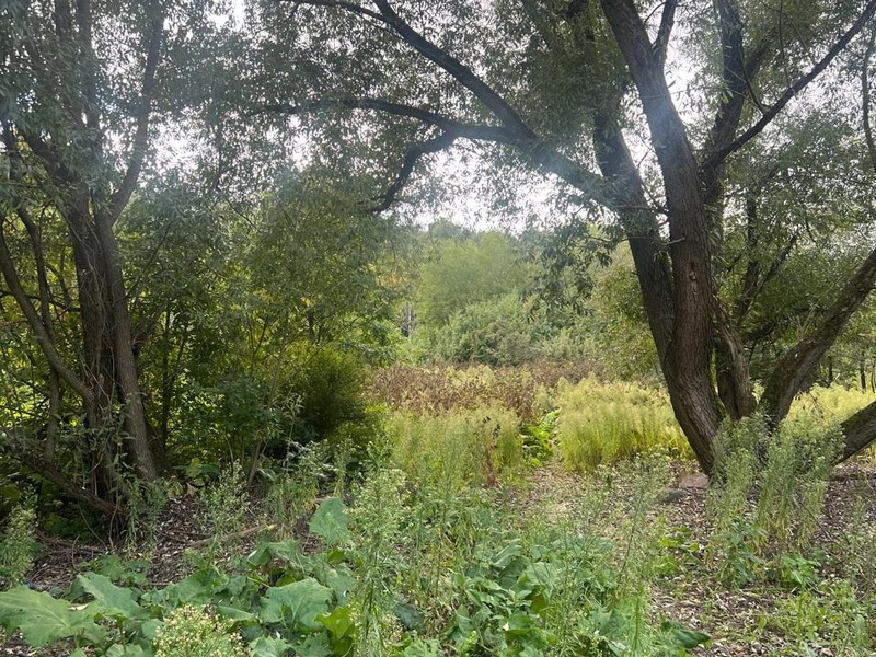 Сентябрь 2025