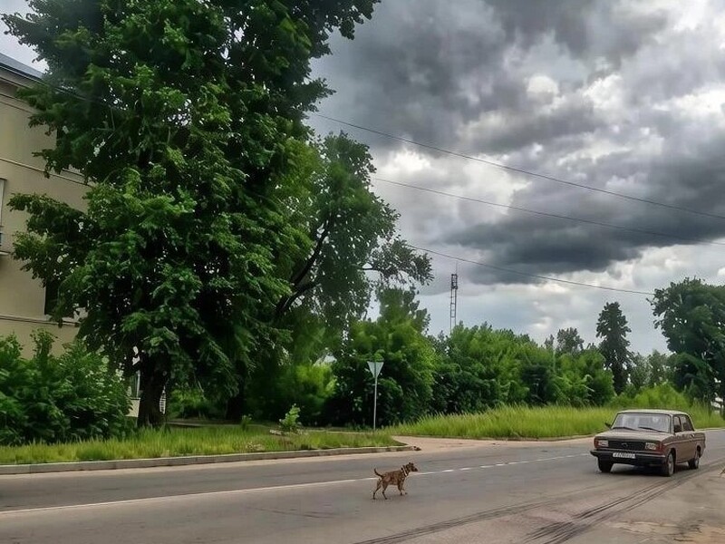 Июль 2026