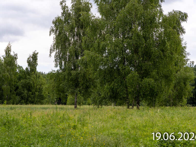 Июнь 2026