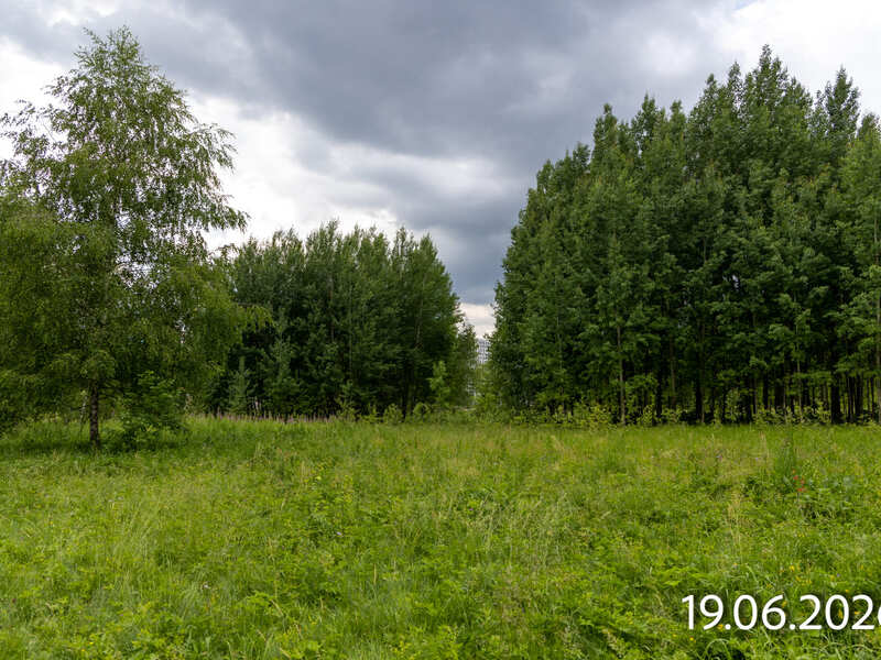 Июнь 2026
